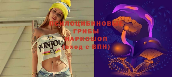 ECSTASY Богородицк