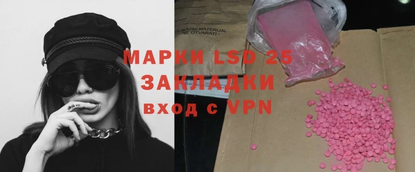 ECSTASY Богородицк