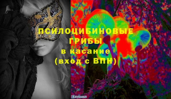 a pvp Богородск