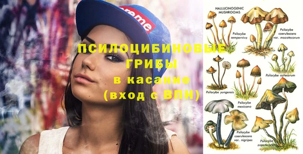 мяу мяу мука Покровск