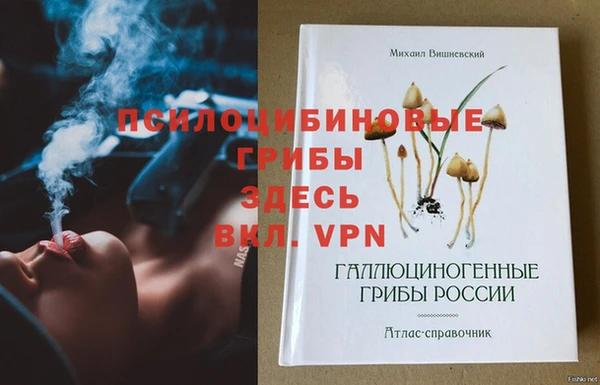спиды Покачи