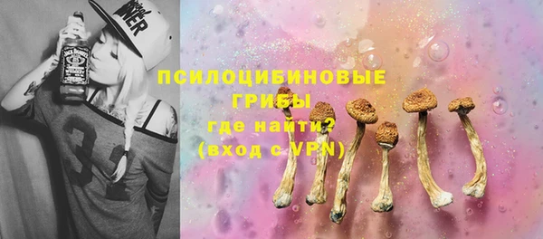 гашиш Богданович