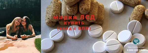 гашиш Богданович