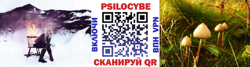 Галлюциногенные грибы Psilocybe Навашино