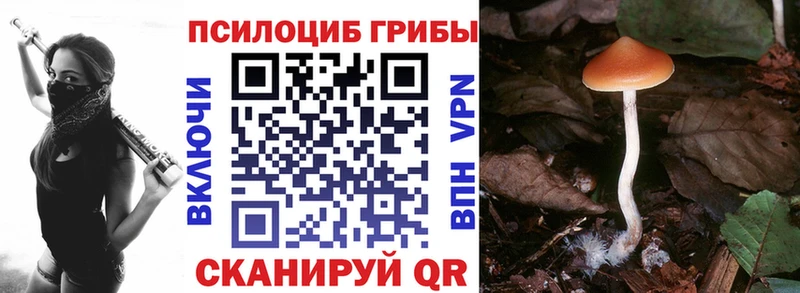 Галлюциногенные грибы GOLDEN TEACHER  Навашино 